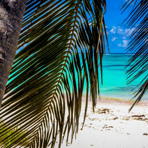 Enjoy Your Experience with St Lucia tours