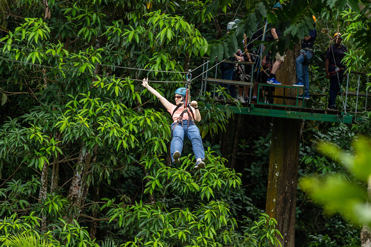 Ziplining in St. Lucia