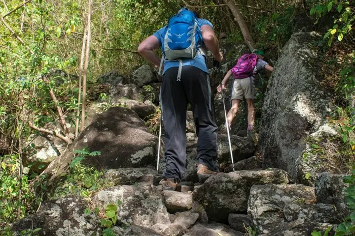 Drive through Soufriere and enjoy the mineral baths, Botanical Gardens and Diamond Falls
