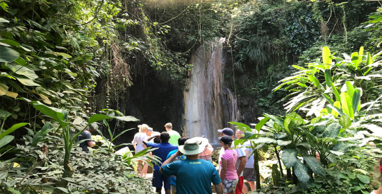 St lucia private tour