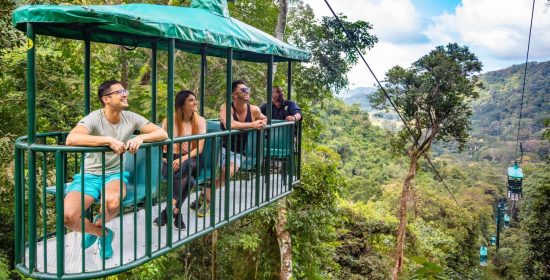 nature-rainforest-walk